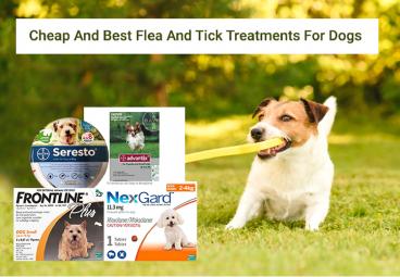 Cheapest Place to Buy Flea And Tick Treatments For Dogs