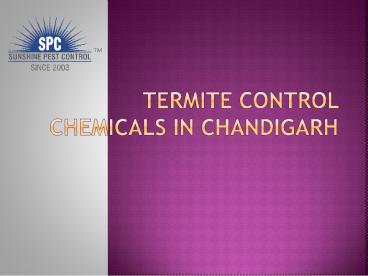 Sunshine Termite Control Services