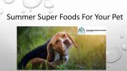 Summer Super Foods for Your Pet