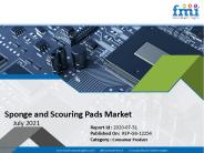 Sponge and Scouring Pads Market