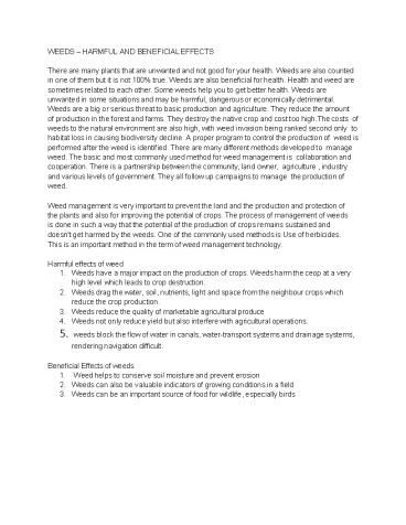 Health Advice and Powerful Weed