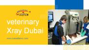 Veterinary Clinic Abu Dhabi