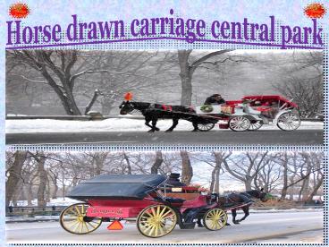 centralparkcarriages (8)