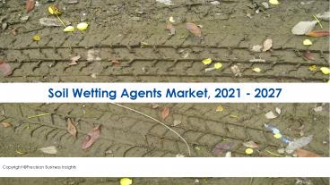 Soil Wetting Agents Market Regional Analysis 2021-2027