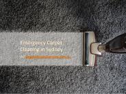 Emergency Carpet Cleaning In Sydney