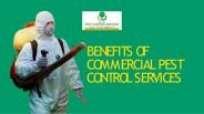 BENEFITS OF COMMERCIAL PEST CONTROL SERVICES