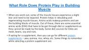 What Role Does Protein Play in Building Muscle