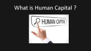 What is Human Capital?
