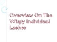 Overview On The Wispy Individual Lashes