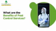 What are the Benefits of Pest Control services?