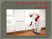 pest control in gurgaon-gurugram