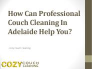 How Can Professional Couch Cleaning In Adelaide Help You?