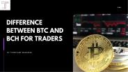 Difference Between BTC And BCH For Traders