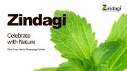 zindagicelebrate (1)