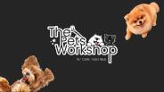 Dog Grooming Singapore