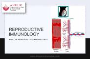 What is Reproductive Immunology?