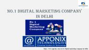 No.1 Digital Marketing Company in Delhi