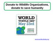 Donate to Wildlife Organizations, donate to save humanity