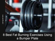 8 Best Fat Burning Exercises Using a Bumper Plate
