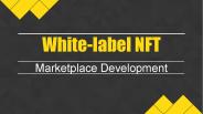 Launch your Whitelabel NFT Marketplace - NFT Marketplace Development