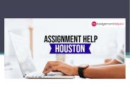 Houston Assignment Essay Writing Help