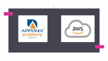 AWS APPONNIX