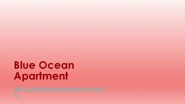 Gold Coast Palm Beach Ocean View Apartment (1)