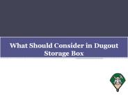 What Should Consider in Dugout Storage Box