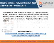 Electric Vehicles Polymer Market 2021