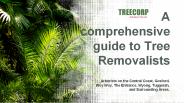 A Comprehensive Guide to Tree Removalists