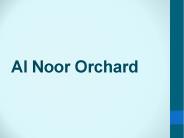 Al Noor Orchard