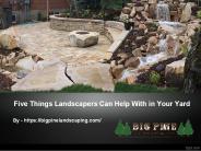 Five Things Landscapers Can Help With in Your Yard