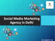 Social Media Marketing Agency in Delhi
