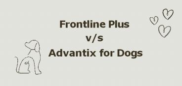 k9 Advantix vs Frontline Plus