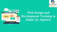 Web Design and Development Training in Jaipur by Apponix