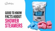 Good to Know Facts about Shower Steamers