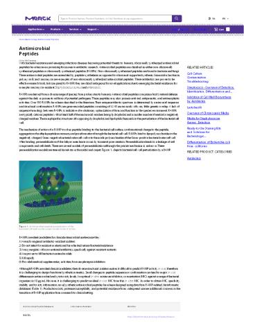 beverage industry analysis