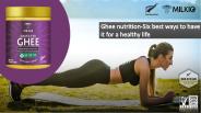 Ghee nutrition | MILKIO