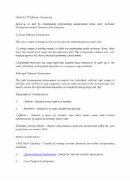 Guide for IT Software Outsourcing