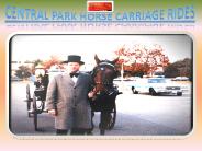 centralparkcarriages (12)