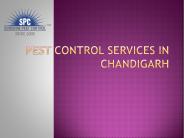Sunshine Termite Control Services (1)