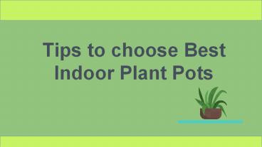 Tips to choose Best Indoor Plant Pots