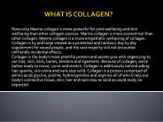 Is Marine Collagen Powder good for you?