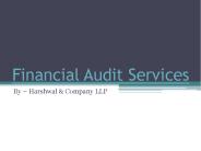Financial Statement Audit Service Provider - HCLLP