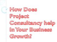 How Does Project Consultancy help In Your Business Growth?