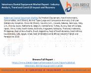 Veterinary Dental Equipment Market Report - Industry Analysis, Trend and Covid 19 Impact and Recovery