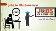 Job Classified|Jobs in Bhubaneswar