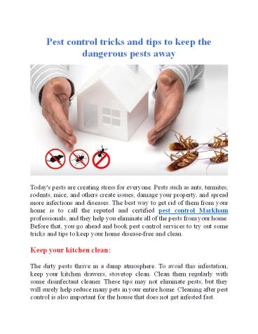 Pest control tricks and tips to keep the dangerous pests away