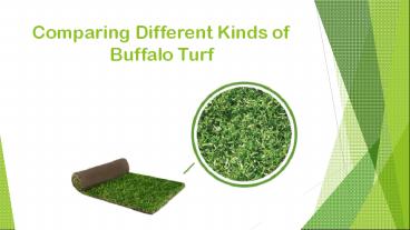 Comparing Different Kinds of Buffalo Turf