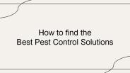 How to find the best Pest Control Solutions